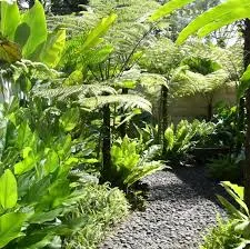jasa taman tropis
