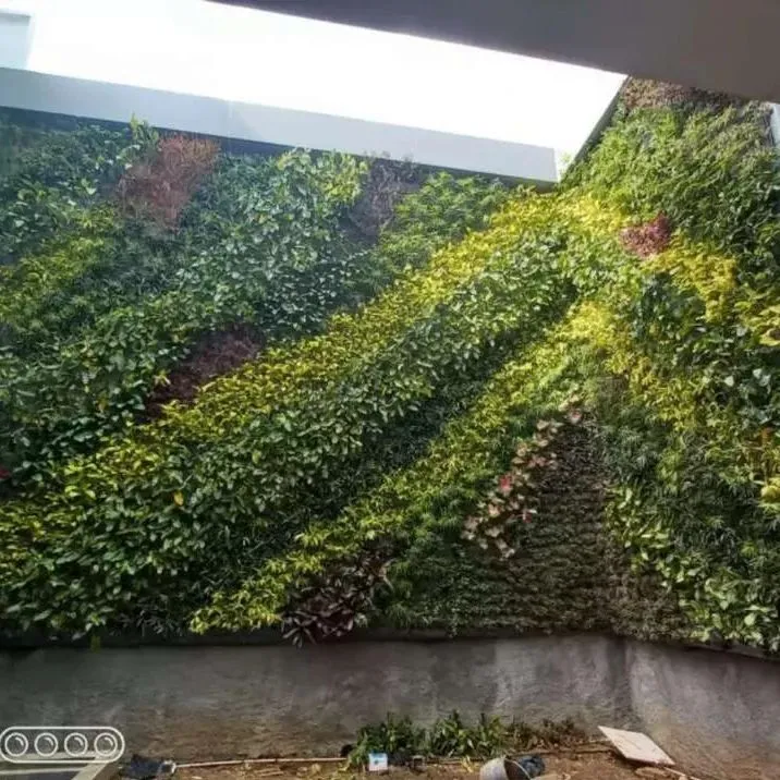 jasa taman vertikal_1
