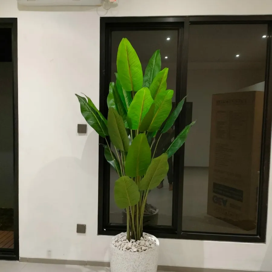 jual-tanaman-artificial-pisang-calathea-–-solusi-dekorasi-hijau-yang-elegan-dan-praktis-67a47d9c00bca