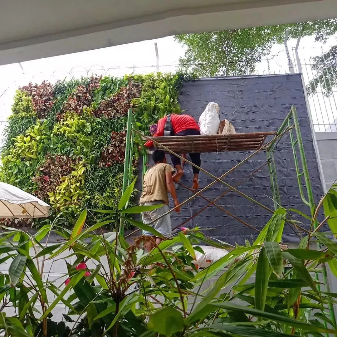 pembuatan taman vertikal