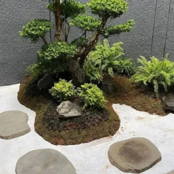 taman minimalis konsep jepang